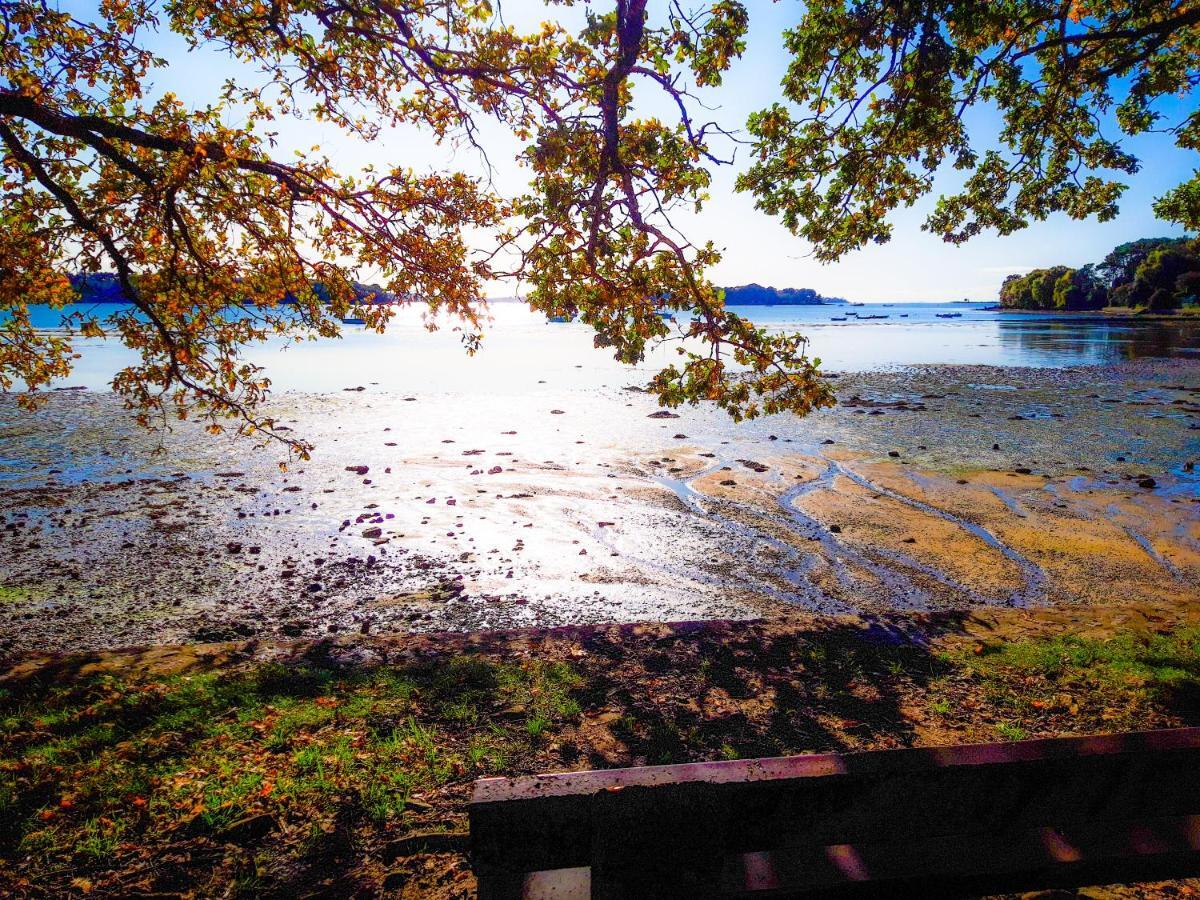 Hotel Alicia Auray Le Bono ภายนอก รูปภาพ